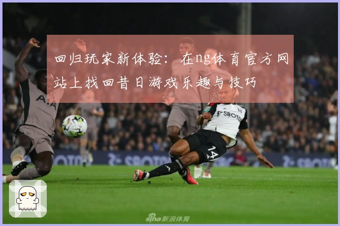 回归玩家新体验：在ng体育官方网站上找回昔日游戏乐趣与技巧