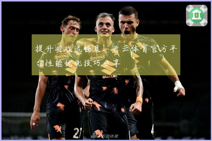 提升游戏流畅度！开云体育官方平台性能优化技巧分享