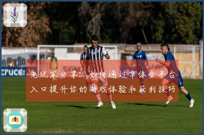 老玩家分享：如何通过华体会平台入口提升你的游戏体验和获利技巧